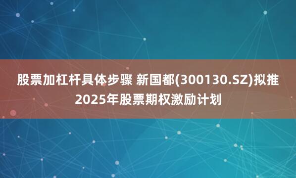 股票加杠杆具体步骤 新国都(300130.SZ)拟推2025年股票期权激励计划