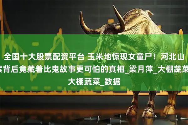 全国十大股票配资平台 玉米地惊现女童尸！河北山村悬案背后竟藏着比鬼故事更可怕的真相_梁月萍_大棚蔬菜_数据