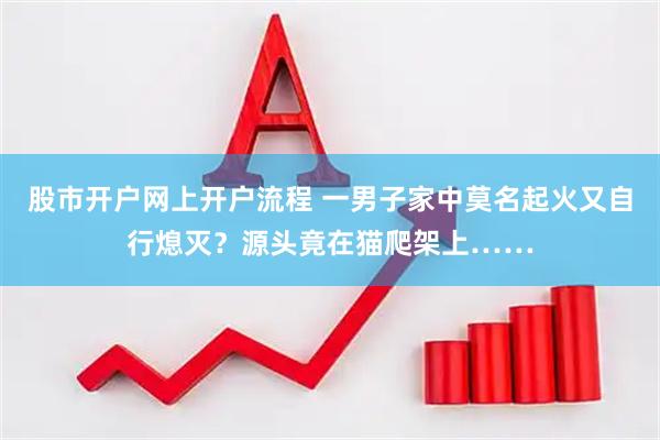 股市开户网上开户流程 一男子家中莫名起火又自行熄灭？源头竟在猫爬架上……